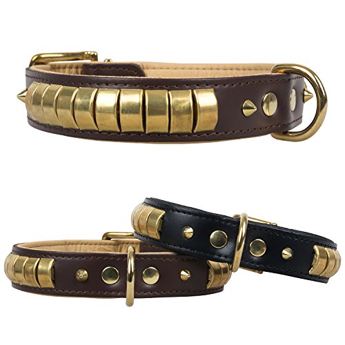 Lederhalsband Chesmu Gold Messing Echtlederhalsband Hundehalsband Niethalsband Schwarz 55cm / 30mm von Hunde Design