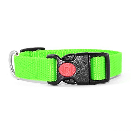 Neon Grün Hundehalsband 24-34cm von Hunde Design