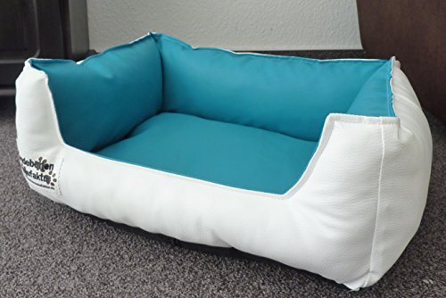 Hundebett Hundesofa Schlafplatz Kunstleder Acceso Farbe und Größe wählbar von XS bis XXL (70 cm X 50 cm, Weiss türkis) von Hundebettenmanufaktur