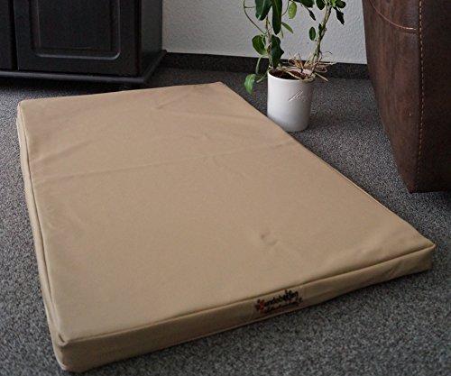 Hundebettenmanufaktur Hundematratze Hundebett Kunstleder Schaumstoff 5 cm Verschiedene Größen und Farben wählbar (100 cm X 60 cm, beige) von Hundebettenmanufaktur