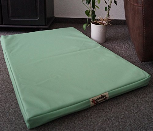 Hundebettenmanufaktur Hundematratze Hundebett Kunstleder Schaumstoff 5 cm Verschiedene Größen und Farben wählbar (100 cm X 60 cm, mintgrün) von Hundebettenmanufaktur