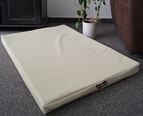 Hundebettenmanufaktur Hundematratze Hundebett Kunstleder Schaumstoff 5 cm Verschiedene Größen und Farben wählbar (120 cm X 80 cm, Creme) von Hundebettenmanufaktur