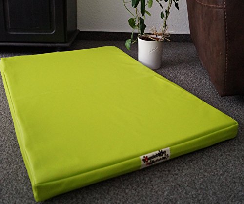 Hundebettenmanufaktur Hundematratze Hundebett Kunstleder Schaumstoff 5 cm Verschiedene Größen und Farben wählbar (130 cm X 90 cm, Limone) von Hundebettenmanufaktur