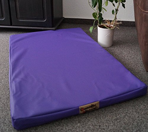 Hundebettenmanufaktur Hundematratze Hundebett Kunstleder Schaumstoff 5 cm Verschiedene Größen und Farben wählbar (60 cm X 40 cm, Lavendel) von Hundebettenmanufaktur