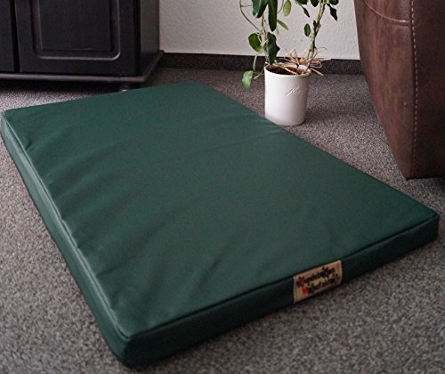 Hundebettenmanufaktur Orthopädische Hundematratze mit antiallergischer Kokosmatte Hundebett Kunstleder Größe und Farbe wählbar (120 cm X 90 cm, grün) von Hundebettenmanufaktur