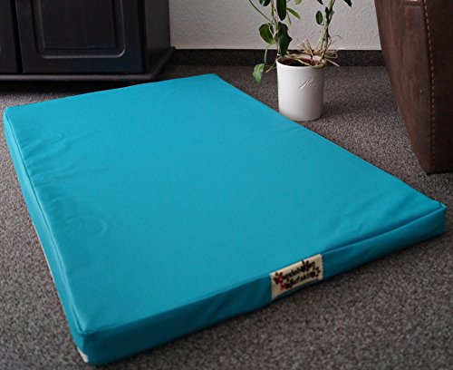 Hundebettenmanufaktur Orthopädische Hundematratze mit antiallergischer Kokosmatte Hundebett Kunstleder Größe und Farbe wählbar (90 cm X 60 cm, türkis) von Hundebettenmanufaktur