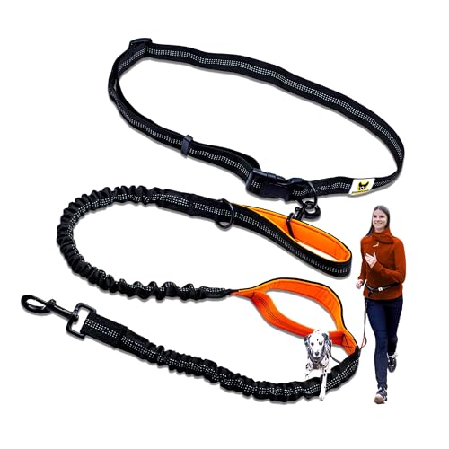 Hundefreund Joggingleine für große Hunde ab 15 kg | Elastische Freihandleine mit leichtem Bauchgurt | Abnehmbare Hundeleine mit 2 weichen Schlaufen | Orange Laufleine (120 cm, dehnbar bis 170 cm) von Hundefreund