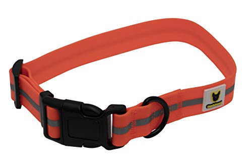 HUNDEFREUND Weiches Hundehalsband 35 – 50 cm Neon Leuchtend (Orange) Reflektierend Komfortabel Pflegeleicht von Hundefreund