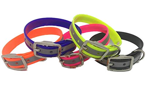 Biothane Beta Halsband 25mm, Dornschnalle, 5 Größen, viele Farben (Blau) von Hundewelt-Pfalz