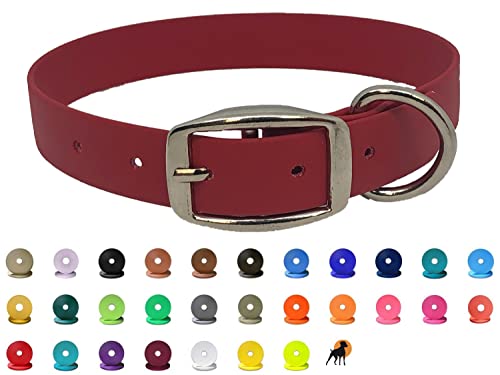 Biothane Beta Halsband 25mm, Dornschnalle, 5 Größen, viele Farben (Blau, 55cm: 39,5 - 51,5cm) von Hundewelt-Pfalz