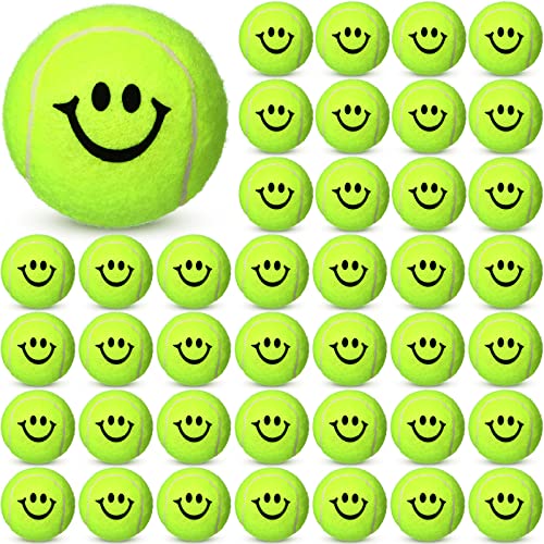 60 Stück Smile Face Pet Tennisbälle für Hunde 6,3 cm Training Hundeball Gummi Filz Hund Tennisbälle Hundespielzeug Bälle Interaktives Hundespielzeug für Welpen Kleine Mittlere Haustiere Hunde Spielen von Hungdao