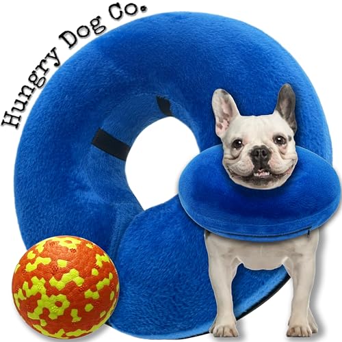 Hungry Dog Co Aufblasbares Premium-Hundehalsband und langlebiger Hundeball, hilft bei der Genesung des Haustiers, bequem und sicher für Ihr Haustier, weiches E-Halsband, Blau, Größe M (25,4 cm - 35,6 von Hungry Dog Co.