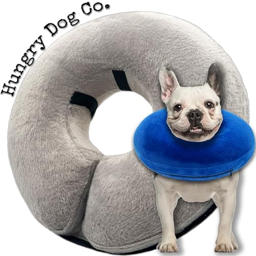 Hungry Dog Co. Aufblasbares Premium-Hundehalsband für Hunde und Katzen – hilft bei der Erholung von Haustieren – bequem und sicher für Ihr Haustier – verstellbar und weich – Grau – Größe M (20,3 cm - von Hungry Dog Co.