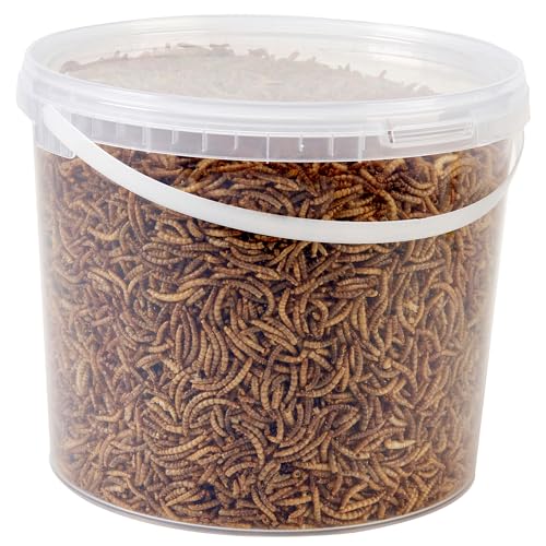 Wildvogelfutter 5L Dose (5L Dose, getrocknete Mehlwürmer) von Hungry Wings