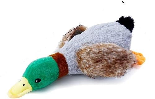 HuntEmUp Mallard Duck Hundespielzeug, langlebig, quietschendes Hundespielzeug – Flusher Sport Wasservögel Training von HuntEmUp