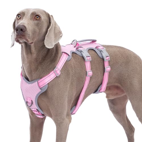 Huntboo Ausbruchsichere Geschirre für Hunde, No Escape Hundegeschirr, No Pull Hundegeschirr für Große Hunde mit Griff, Verstellbare Weste für Spaziergänge, Training und Laufsport (Rosa, XL) von Huntboo