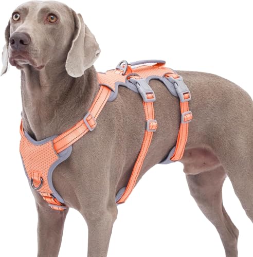 Huntboo Sicherheitsgeschirr Hund Ausbruchsicher,Sicheres Hundegeschirr No Escape,Reflektierendes Geschirr mit Gepolstertem Griff,Verstellbare Weste für Große Hund,die Spazieren Gehen(Orange,L) von Huntboo