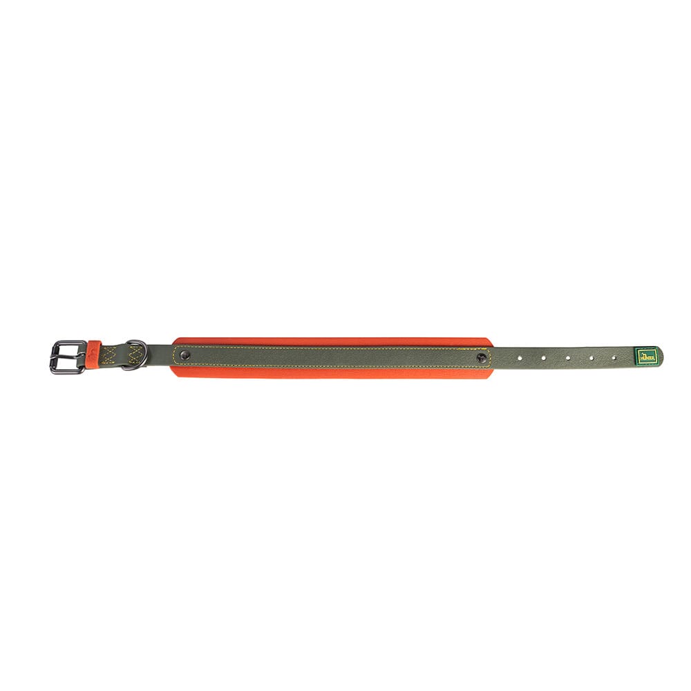 HUNTER Hunde-Halsband Havanna grün/orange, Gr. 50, Breite: ca. 3,5 cm, Länge: ca. 37 - 45 cm HUNTER Hunde-Halsband Havanna grün/orange, Gr. 50, Breite: ca. 3,5 cm, Länge: ca. 37 - 45 cm von Hunter