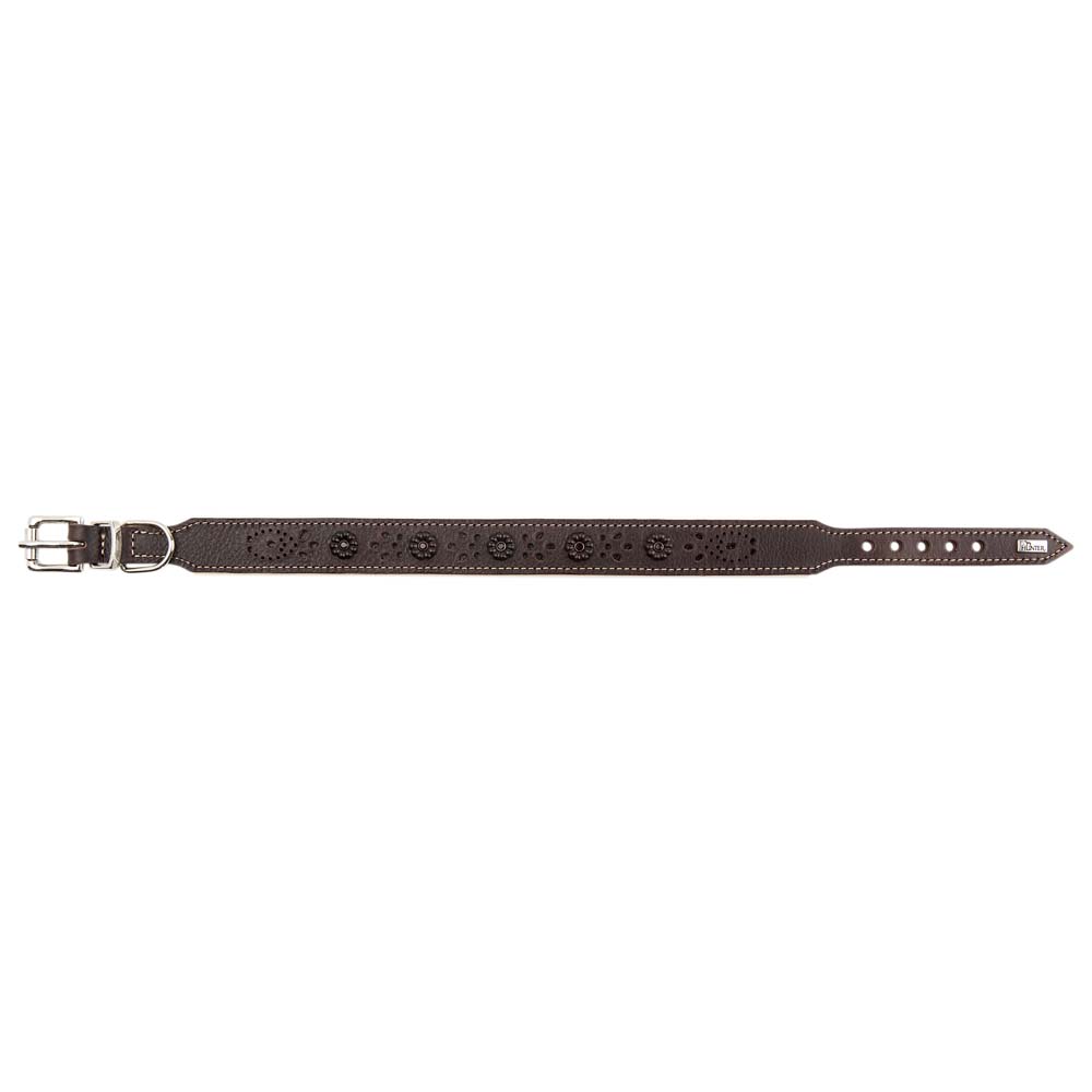 HUNTER Hundehalsband Virginia Rose tabak/beige, Gr. 60, Breite: ca. 3,9 cm, Länge: ca. 47 - 54 cm von Hunter