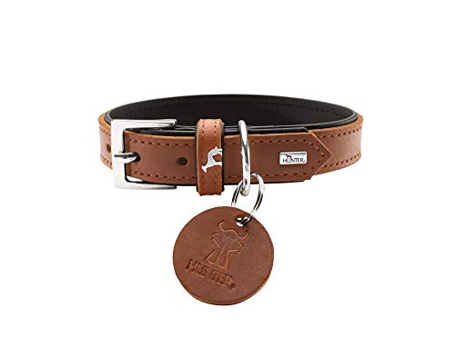 HUNTER LARVIK Hundehalsband, Leder, schlicht, elegant, komfortabel, 60 (M-L), cognac/schwarz von HUNTER