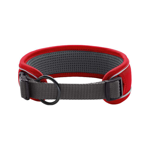 Hunter Halsband Divo - Rot/Grau von Hunter