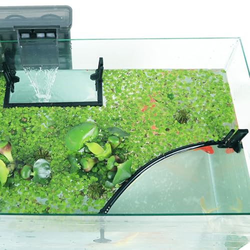 Huraoerrrr 1Set Fish Fütterungsring, schwimmende Pflanzenbarriere trennt schwimmende Pflanzenkorral, einfache Installation Aquarium Floating Plant Corral, um schwimmende Pflanzen abzufangen von Huraoerrrr