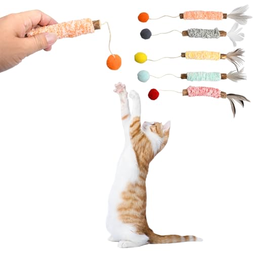 Husalsea 5 Katzenminze Stick Für Katzen Zahnpflege, Katzensticks mit Natürlichen Materialien, Catnip Kaustab, Katzenminze Spielzeug Beißstab, Katzenspielzeug für Die Mundgesundheit von Katzen von Husalsea