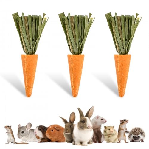 Husalsea Rabbit Chew Treats - Alfalfa & Karottengras Kekse für kleine Haustiere - Timothy Hay Snacks für Kaninchen, Meerschweinchen & Hamster - Gesundes Kauspielzeug & Leckereien für die Zahnpflege vo von Husalsea