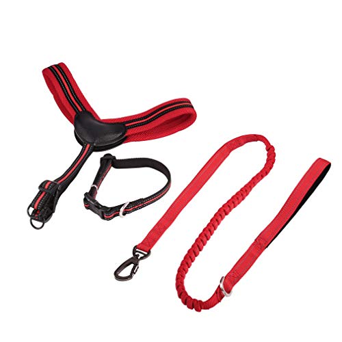 Huuzzgdp Hundeleine, robuste Trainingsleine mit Handschlaufe und D-Ring-Karabinerverschluss (2,5 cm x (120–140) cm) von Huuzzgdp