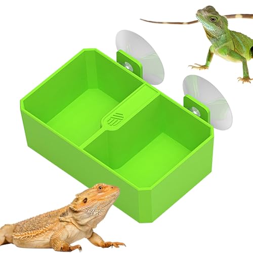 Chamäleon-Napf, Chamäleon-Futternapf | Futternapf für Reptilien, Wassernapf - Chamäleon-Futternapf, 2 Gitter, Reptilien-Futternapf für Gecko, Bartschlange, Drache von Huvqianu