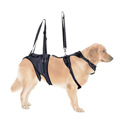 Hundegeschirr zum Heben, Ganzkörperunterstützung, 2 cm, verstellbar, bequeme Passform, authentisches strapazierfähiges Material, Mobilitätshilfe, Schlinge für Erholung, Rehabilitation, Training Hundegeschirr zum Heben, Ganzkörperunterstützung, 2 cm, verstellbar, bequeme Passform, authentisches strapazierfähiges Material, Mobilitätshilfe, Schlinge für Erholung, Rehabilitation, Training von Huvqianu