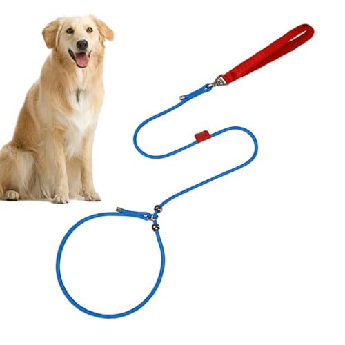 Hundetrainingsleine zum Spazierengehen, 150 cm, verstellbar, ausbruchsicher, großes Hundegeschirr, bequemer Griff, ausbruchsicher, verstellbar, um 360 Grad drehbar von Huvqianu