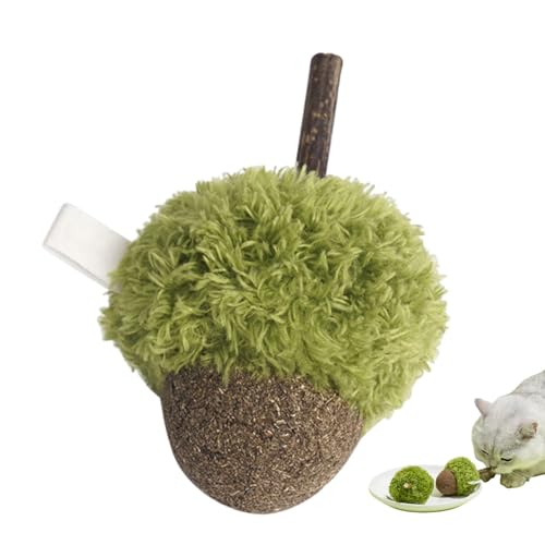 Huvqianu Catnip Toys, Green Acorn Catnip Toy, Fun Chewing Cat Ball, Cute Plush Fruit Plaything, Interactive Kitten Bite Toys, Soft Pet Playthings for Indoor and Outdoor von Huvqianu