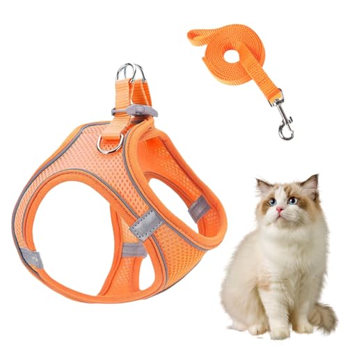 Huvqianu Hundegeschirr und Leinen, Geschirr und Leinen, mittelgroße Hunde, verstellbar, für Welpen, Kätzchen, Katzen, für Auto, Reisen, Nachtspaziergänge, Wandern, Training Huvqianu Hundegeschirr und Leinen, Geschirr und Leinen, mittelgroße Hunde, verstellbar, für Welpen, Kätzchen, Katzen, für Auto, Reisen, Nachtspaziergänge, Wandern, Training von Huvqianu