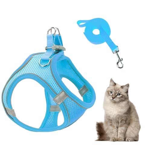 Huvqianu Hundegeschirr und Leinen Set für kleine Hunde, verstellbar, für Welpen, Kätzchen, Katzen, für Auto, Reisen, Nachtspaziergänge, Wandern, Training Huvqianu Hundegeschirr und Leinen Set für kleine Hunde, verstellbar, für Welpen, Kätzchen, Katzen, für Auto, Reisen, Nachtspaziergänge, Wandern, Training von Huvqianu