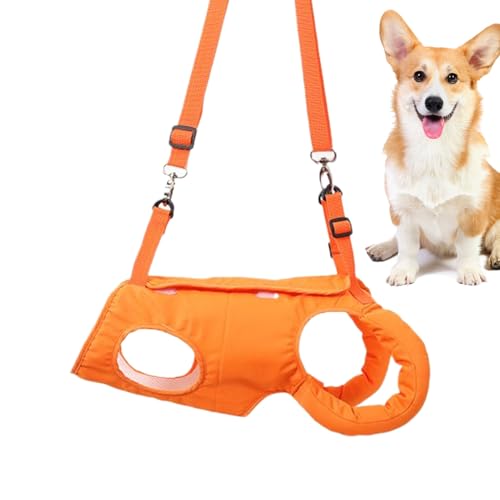 Huvqianu Hundegeschirr zum Heben, verstellbares Hundegeschirr, atmungsaktiv, Haustierunterstützung, Schlinge, Gehhilfe, Gurtunterstützung für Lähmung, altes Outdoor-Training, Spaziergänge Huvqianu Hundegeschirr zum Heben, verstellbares Hundegeschirr, atmungsaktiv, Haustierunterstützung, Schlinge, Gehhilfe, Gurtunterstützung für Lähmung, altes Outdoor-Training, Spaziergänge von Huvqianu