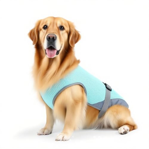 Huvqianu Kühlweste Für Hunde,Hundejacke Kühlweste Geschirr - UV-Schutz Verstellbares Outfit Für Kleine Mittel Welpen Wanderung Outdoor Reisen Camping Huvqianu Kühlweste Für Hunde,Hundejacke Kühlweste Geschirr - UV-Schutz Verstellbares Outfit Für Kleine Mittel Welpen Wanderung Outdoor Reisen Camping von Huvqianu