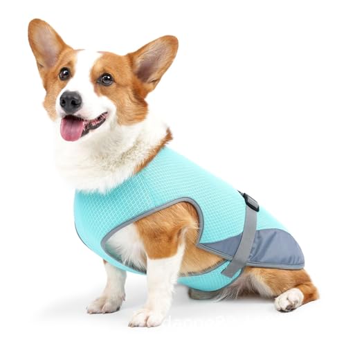 Huvqianu Kühlweste für Hunde – kühlende Sommer-Hundeweste, Kleidung, verstellbar, atmungsaktiv, UV-Schutz, für Welpen, Camping, Spazierengehen, Reisen, Training, Wandern, Outdoor, Huvqianu Kühlweste für Hunde – kühlende Sommer-Hundeweste, Kleidung, verstellbar, atmungsaktiv, UV-Schutz, für Welpen, Camping, Spazierengehen, Reisen, Training, Wandern, Outdoor, von Huvqianu