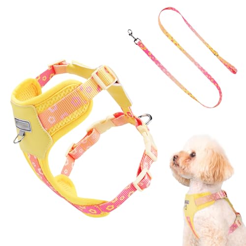 Huvqianu Leichtes Hundegeschirr - Welpen Geschirr | Ausbruchssicher Atmungsaktiv Verstellbar Für Große Rassen Tägliche Spaziergänge Outdoor Sport Training Park Auto Reisen Huvqianu Leichtes Hundegeschirr - Welpen Geschirr | Ausbruchssicher Atmungsaktiv Verstellbar Für Große Rassen Tägliche Spaziergänge Outdoor Sport Training Park Auto Reisen von Huvqianu