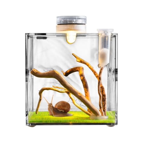 Kleintiergehege | Acryl-Terrarium für springende Spinnen | Leichte und Kleintierzuchtbox für Schildkröten, Käfer, Schnecken und Eidechsen von Huvqianu