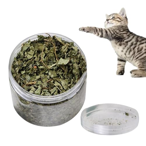 Natürliche Katzenminze, 40 g natürliche Blätter, Katzenminze, Leckerli für die Zahnreinigung, echte natürliche Blätter, Katzenminze, gesunde Katzensnacks zur Zahnreinigung, Haarentfernung, von Huvqianu