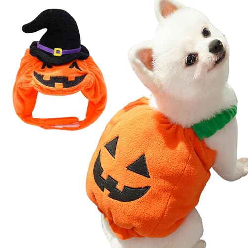 Pumpkin Dog Costume | Halloween Pet Costume | Cozy Dog Clothes, Pet Cosplay Costume, Cute Dog Hat, Dog Festival Clothes, Pumpkin Pet Outfit, Halloween Dog Suit, Dog Costume for Halloween von Huvqianu