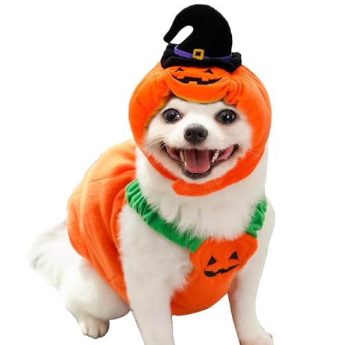 Pumpkin Dog Costume | Halloween Pet Costume | Cozy Dog Clothes, Pet Cosplay Costume, Cute Dog Hat, Dog Festival Clothes, Pumpkin Pet Outfit, Halloween Dog Suit, Dog Costume for Halloween von Huvqianu