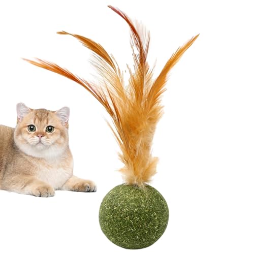 Huyeruie Essbarer Ball für Kätzchen mit Katze, Federbälle für Wand mit Katze, Katzenbälle für Katzenwände, Zahnreinigungsspielzeug, Katzenspielzeug zum Lecken, von Huyeruie