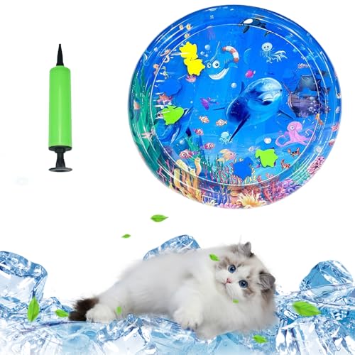 Hxyxbnhno Katzen Kühlmatte Wasser Sensorische Spielmatte Hunde Bett Liege Aufblasbares Bett Nickerchen Spielmatte Sensorisches Spiel von Hxyxbnhno