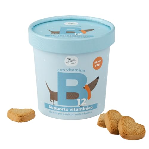 Getreidefreie Hundekekse Apfel und Johanniskraut mit Vitamin B12 | 100% natürlich für die kognitive Gesundheit und Verdauung | Glutenfreie Multivitamin-Snacks für Hunde | 100 g Hundekekse Hygge Dog® von Hygge