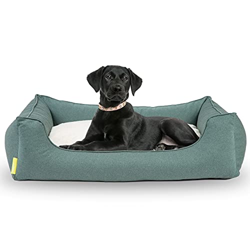 Hyggins Dreamer Perfect Hundebett | Wendekissen orthopädisch | Bezug abnehmbar und waschbar | Boden wasserabweisend (L 100 x 70cm, Petrolgrün)… von Hyggins