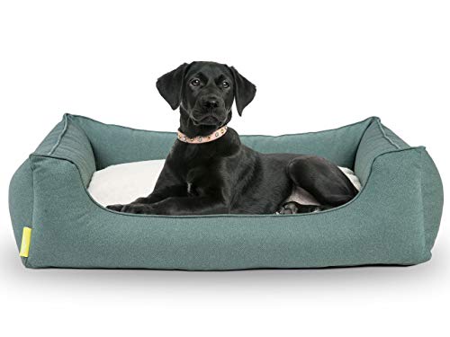 Hyggins Dreamer Perfect Hundebett | Wendekissen orthopädisch | Bezug abnehmbar und waschbar | Boden wasserabweisend (XL 117 x 80cm, Petrolgrün)… von Hyggins