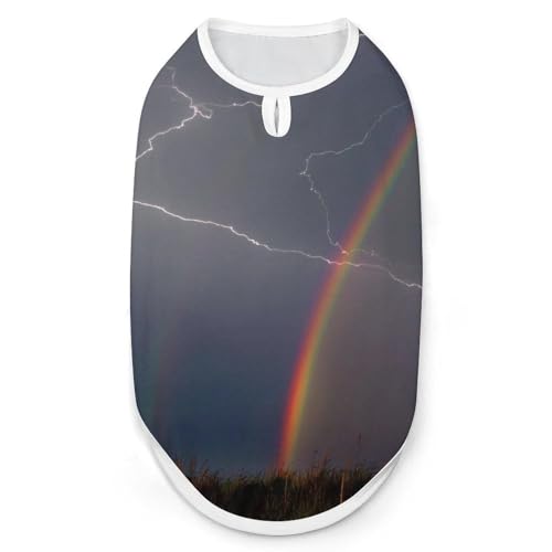 Lightning Meets Rainbow Haustier-T-Shirt, cooles Welpen-Shirt für kleine, mittelgroße und große Haustiere, Hunde und Katzen, Größe S von Hyghfg