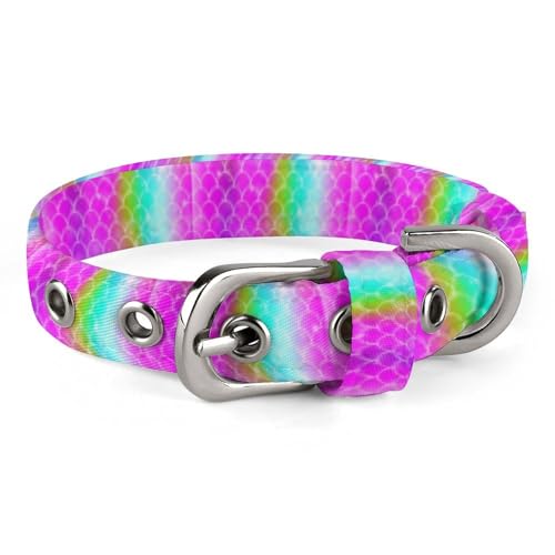 Verstellbares Hundehalsband mit Kawaii-Schuppen, bequemes Haustierhalsband für kleine bis mittelgroße Hunde von Hyghfg